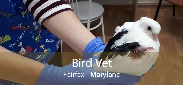 Bird Vet Fairfax - Maryland