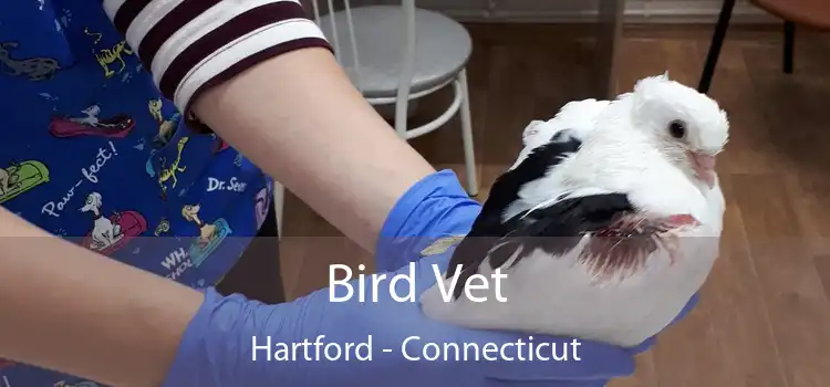 Bird Vet Hartford - Connecticut