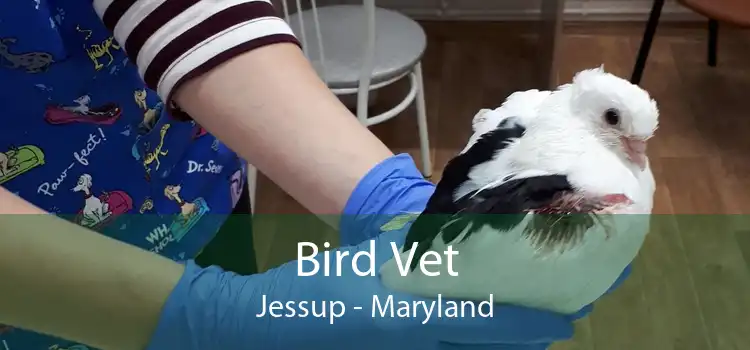 Bird Vet Jessup - Maryland