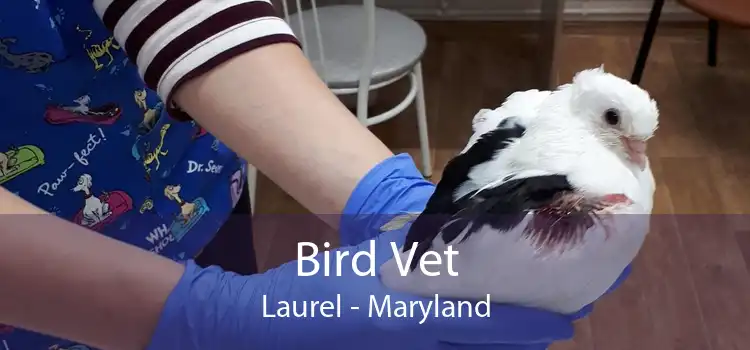 Bird Vet Laurel - Maryland