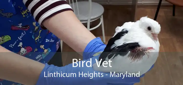 Bird Vet Linthicum Heights - Maryland