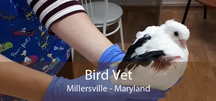 Bird Vet Millersville - Maryland