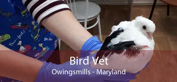 Bird Vet Owingsmills - Maryland