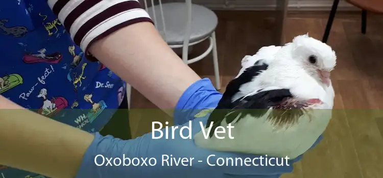 Bird Vet Oxoboxo River - Connecticut