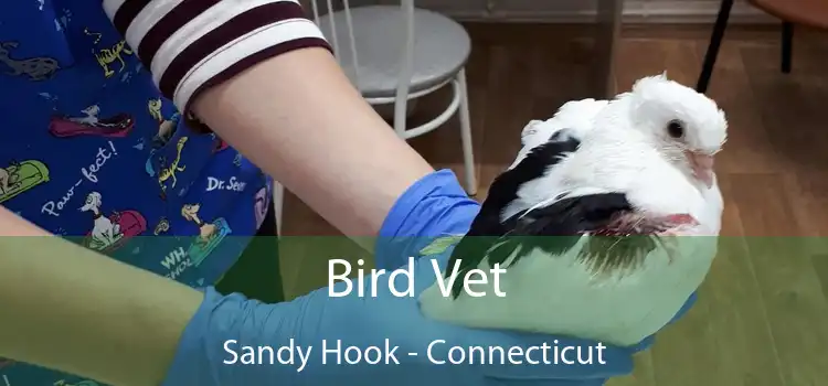 Bird Vet Sandy Hook - Connecticut