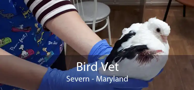 Bird Vet Severn - Maryland