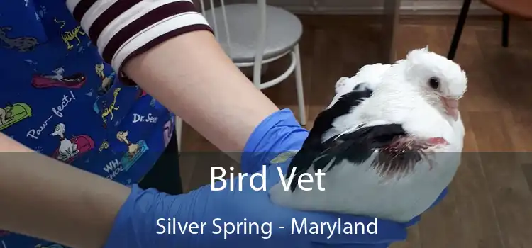 Bird Vet Silver Spring - Maryland