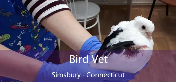 Bird Vet Simsbury - Connecticut