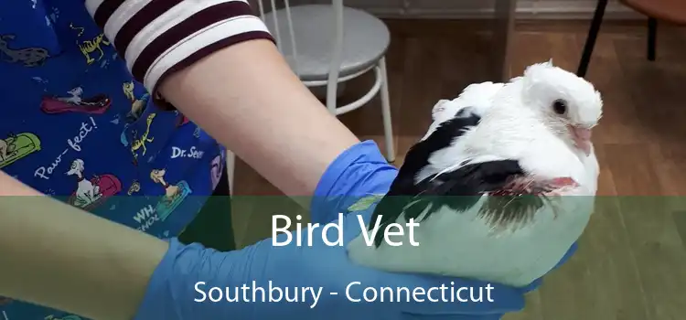 Bird Vet Southbury - Connecticut