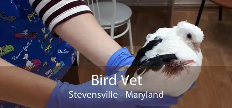 Bird Vet Stevensville - Maryland