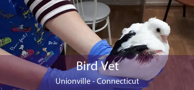 Bird Vet Unionville - Connecticut