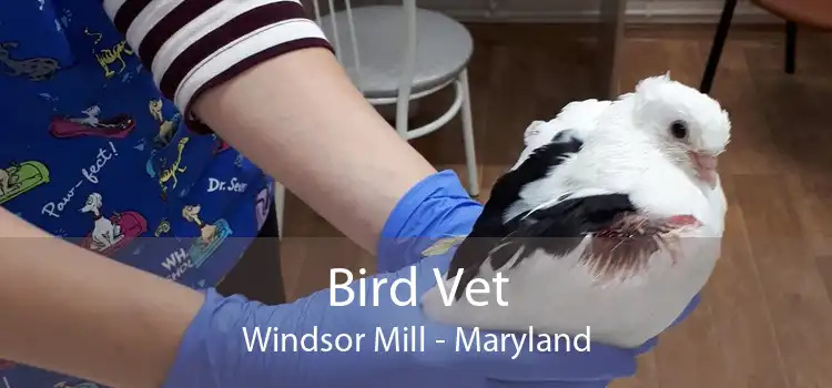 Bird Vet Windsor Mill - Maryland