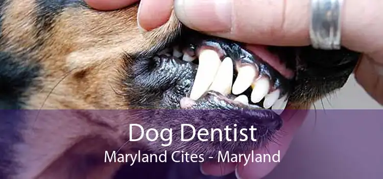 Dog Dentist Maryland Cites - Maryland
