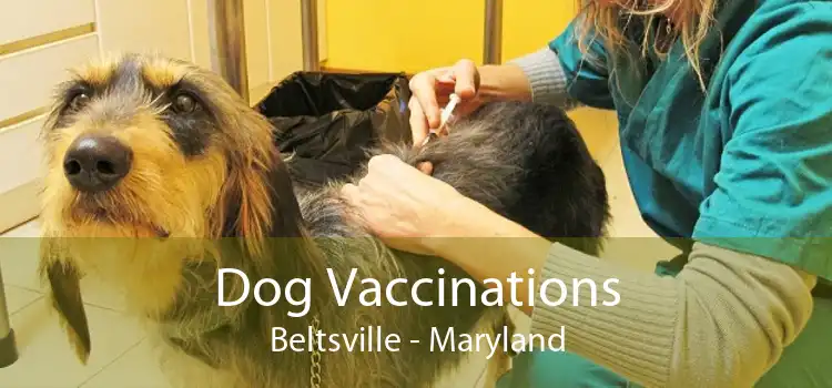 Dog Vaccinations Beltsville - Maryland