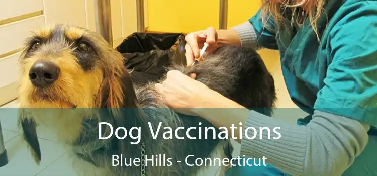 Dog Vaccinations Blue Hills - Connecticut