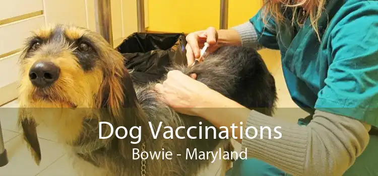 Dog Vaccinations Bowie - Maryland