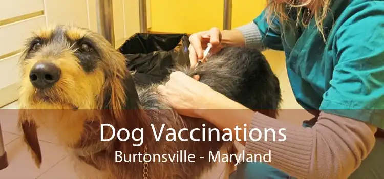 Dog Vaccinations Burtonsville - Maryland