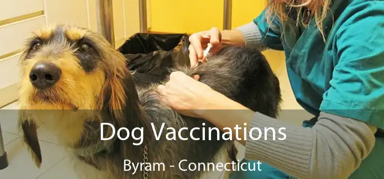 Dog Vaccinations Byram - Connecticut