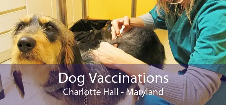 Dog Vaccinations Charlotte Hall - Maryland