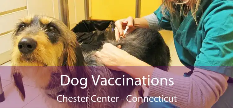 Dog Vaccinations Chester Center - Connecticut