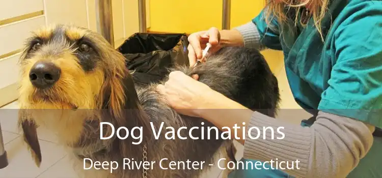 Dog Vaccinations Deep River Center - Connecticut