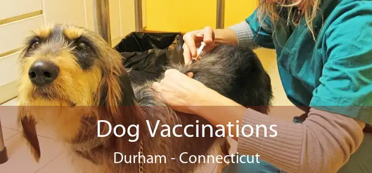 Dog Vaccinations Durham - Connecticut