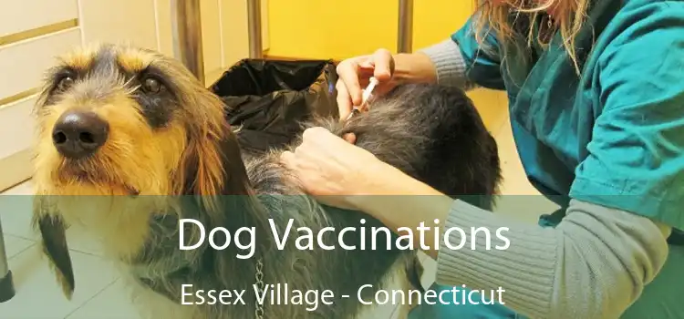 Dog Vaccinations Essex Village - Connecticut