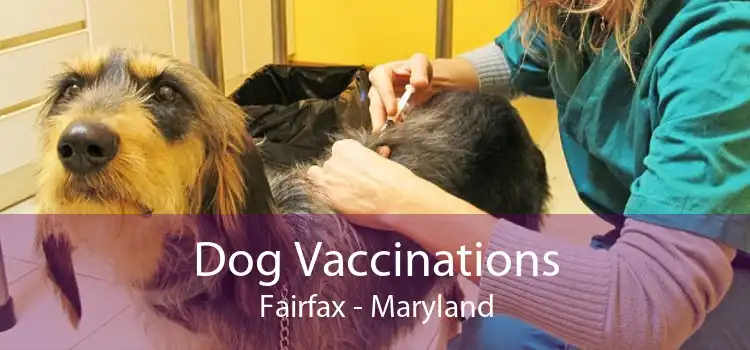 Dog Vaccinations Fairfax - Maryland