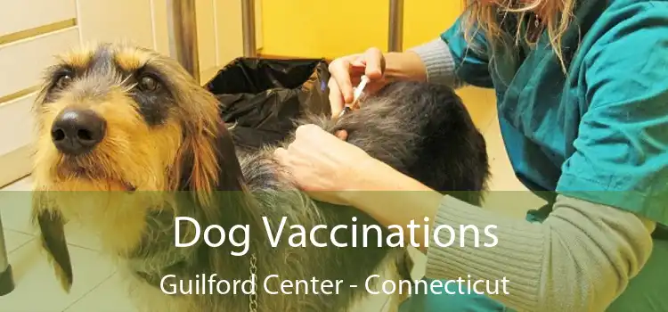 Dog Vaccinations Guilford Center - Connecticut