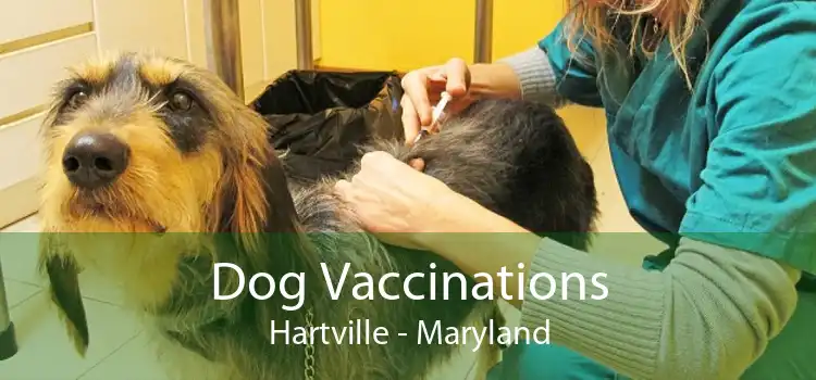 Dog Vaccinations Hartville - Maryland