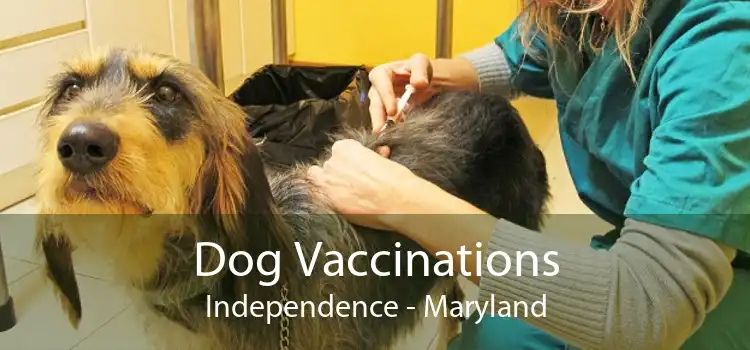 Dog Vaccinations Independence - Maryland
