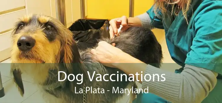 Dog Vaccinations La Plata - Maryland