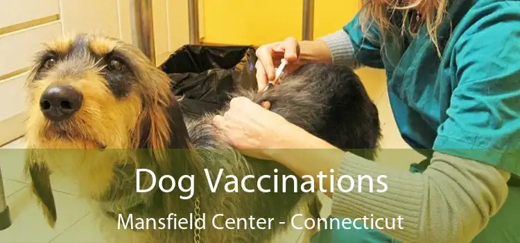 Dog Vaccinations Mansfield Center - Connecticut