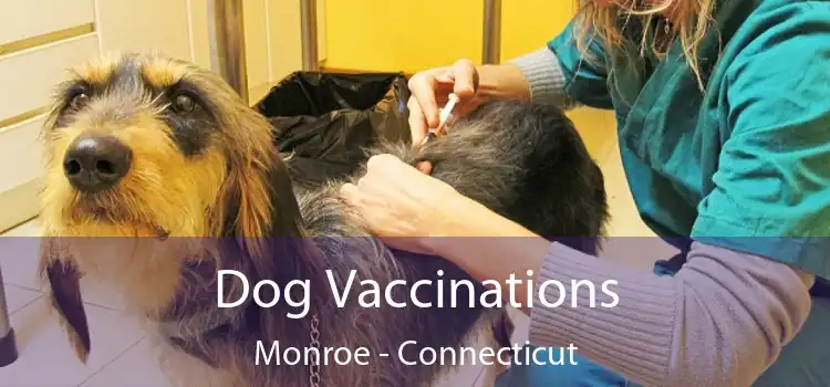 Dog Vaccinations Monroe - Connecticut