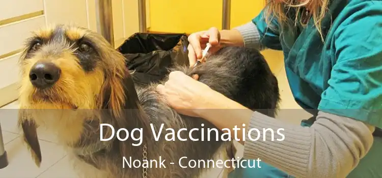 Dog Vaccinations Noank - Connecticut