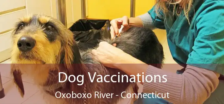 Dog Vaccinations Oxoboxo River - Connecticut