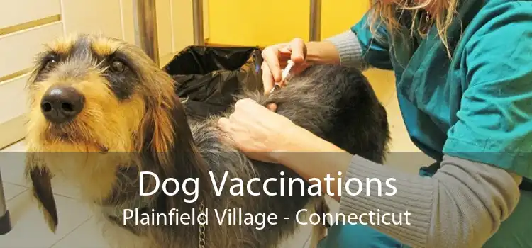 Dog Vaccinations Plainfield Village - Connecticut