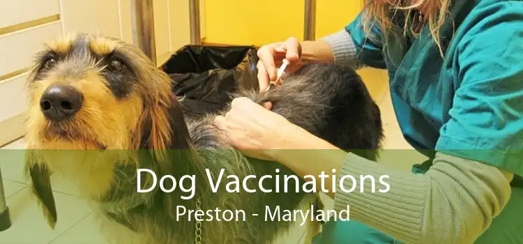 Dog Vaccinations Preston - Maryland