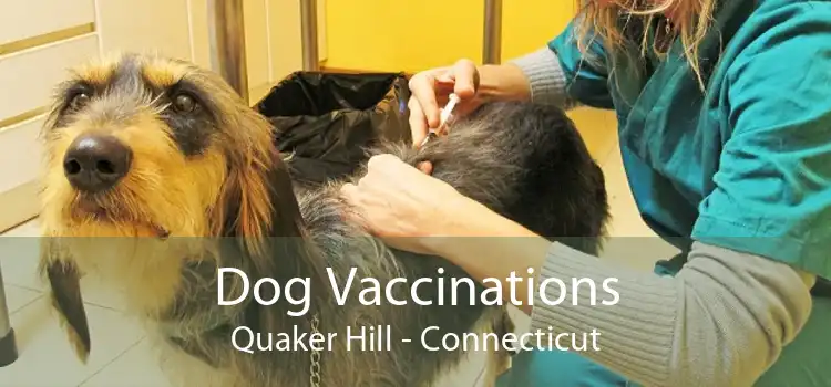 Dog Vaccinations Quaker Hill - Connecticut