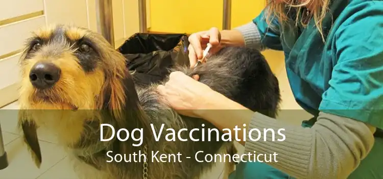Dog Vaccinations South Kent - Connecticut