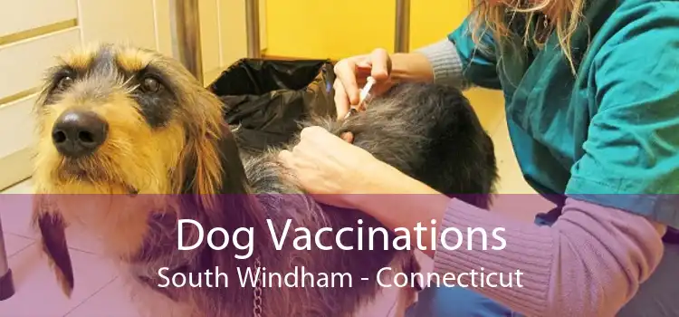 Dog Vaccinations South Windham - Connecticut
