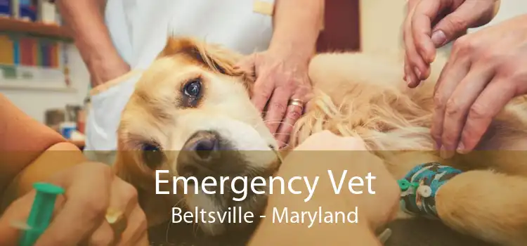 Emergency Vet Beltsville - Maryland