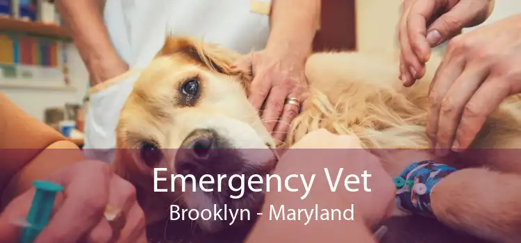 Emergency Vet Brooklyn - Maryland