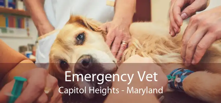 Emergency Vet Capitol Heights - Maryland