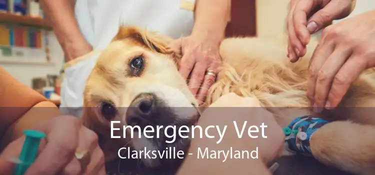 Emergency Vet Clarksville - Maryland