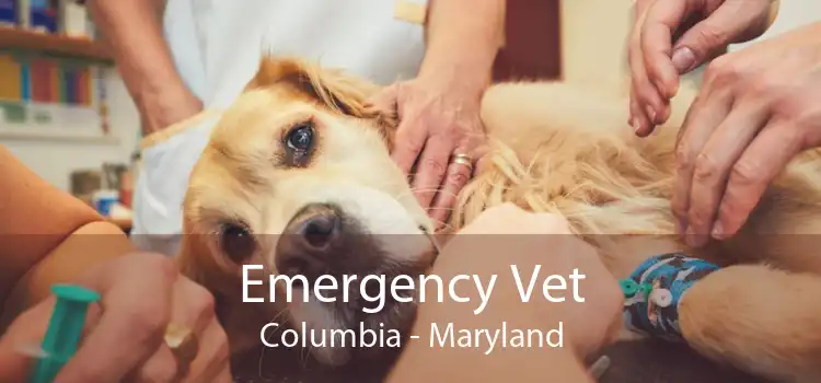 Emergency Vet Columbia - Maryland