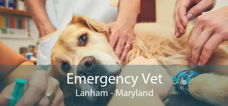 Emergency Vet Lanham - Maryland