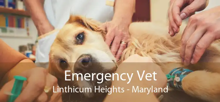 Emergency Vet Linthicum Heights - Maryland