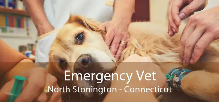 Emergency Vet North Stonington - Connecticut