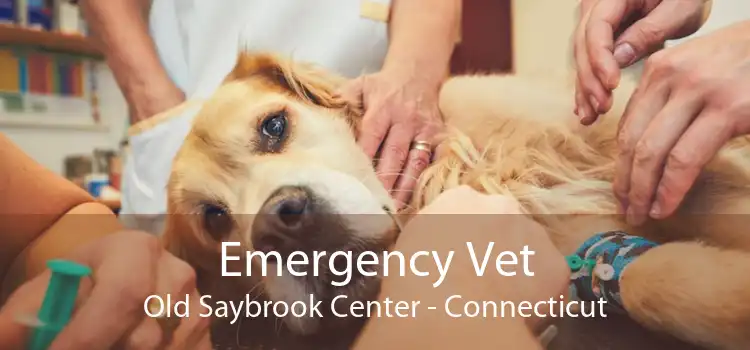 Emergency Vet Old Saybrook Center - Connecticut